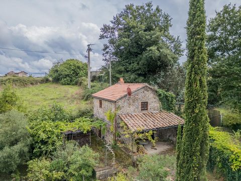 This detached rustico in natural stone, surrounded by an abundance of magnificent cypresses, pines, olive trees and oaks, offers you not only the idyllic ambience of a rural oasis, but also complete privacy in a quiet location. With a generous living...