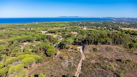 Lote de terreno com vista mar, com cerca de 2 ha e projecto aprovado para construção de moradia com piscina com 153m2 de área bruta de construção. A licença de construção está válida até Junho de 2026. Excelente localização a 8 minutos de carro das P...