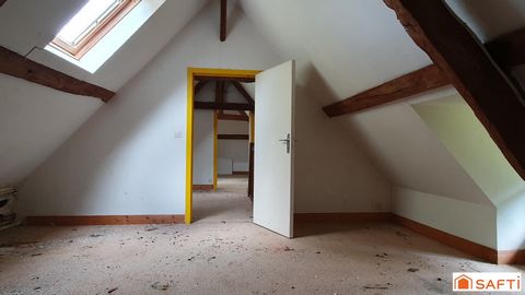 photo no. 18