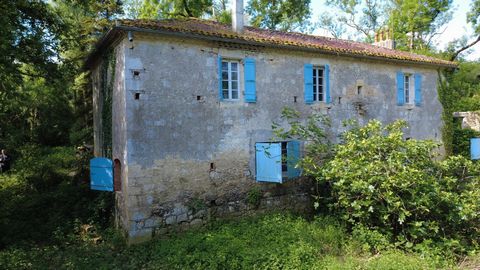 photo no. 2