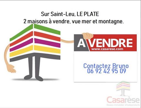 Ensemble immobilier sur Saint-Leu (LE PLATE).
