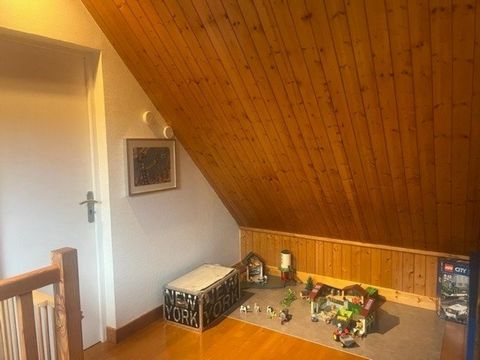photo no. 15