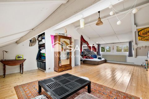 photo no. 12