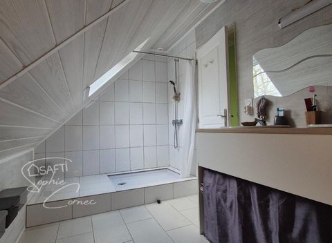 photo no. 14