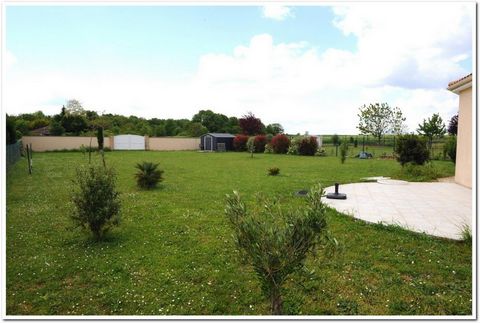 photo no. 10
