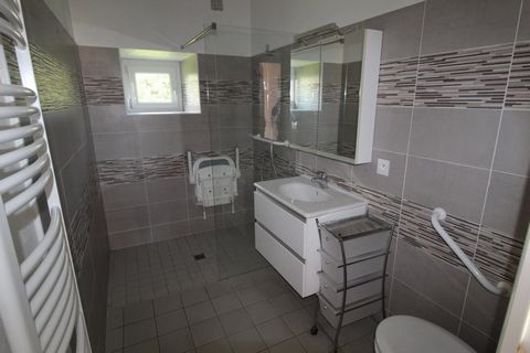 photo no. 6