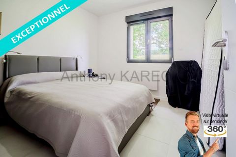 photo no. 11