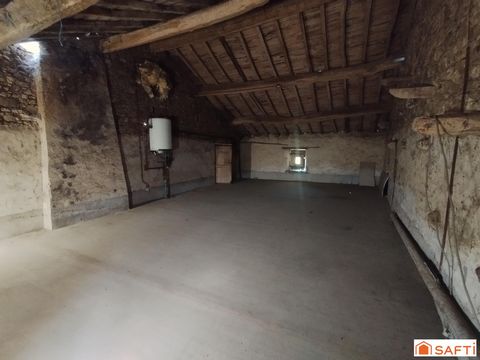 photo no. 12