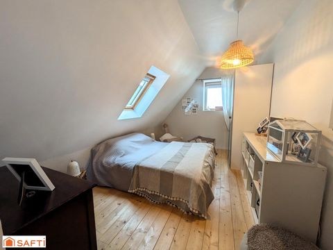 photo no. 11