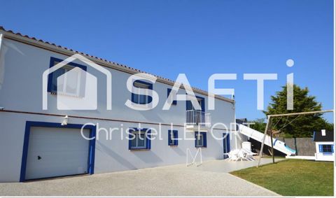 photo no. 12