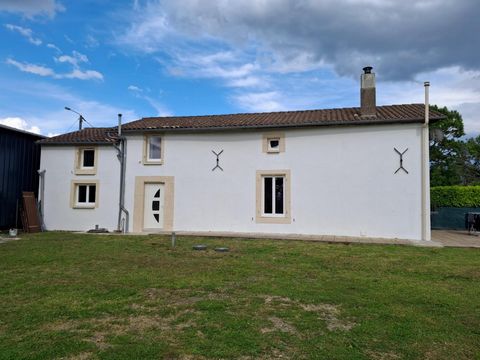photo no. 10