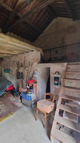 photo no. 16