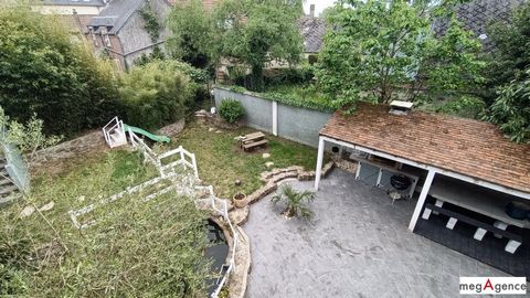 photo no. 8