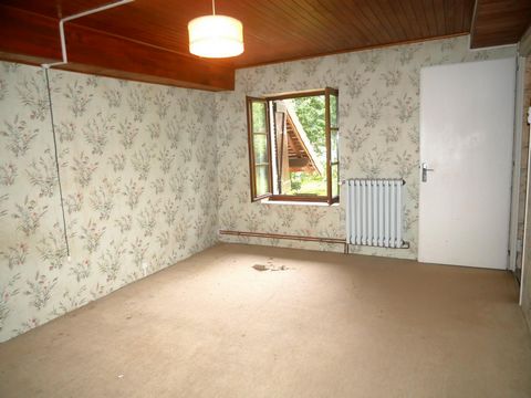 photo no. 7