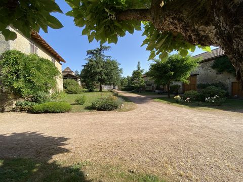 photo no. 1