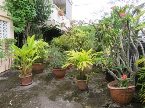 photo no. 2