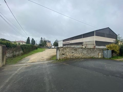 photo no. 2