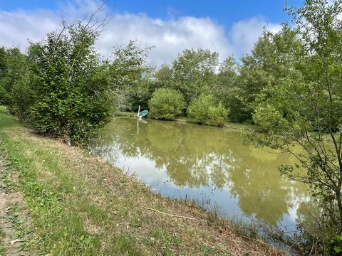 Etangs très poissonneux et bois