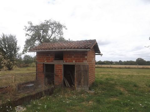 photo no. 19