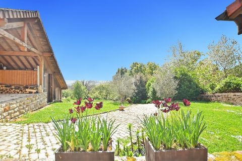 photo no. 2