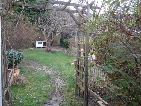 photo no. 8