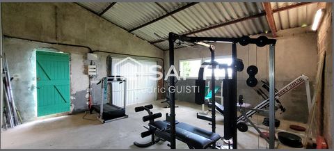 photo no. 11