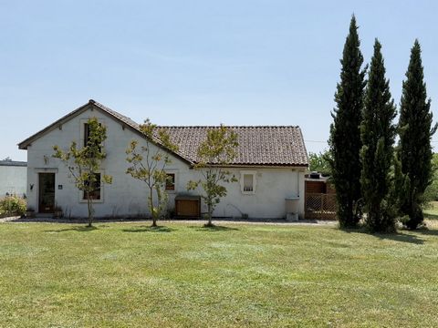 photo no. 1