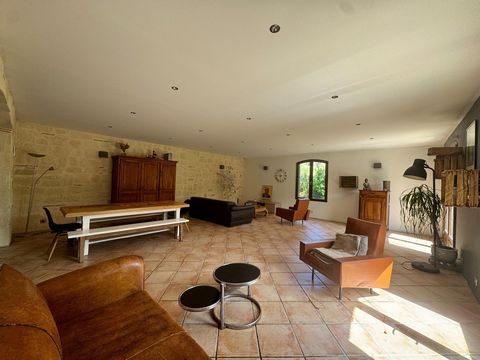 photo no. 4