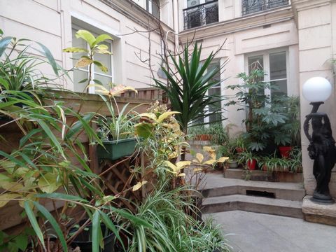 photo no. 6