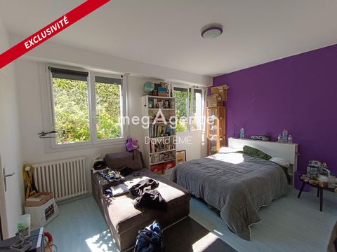 photo no. 11
