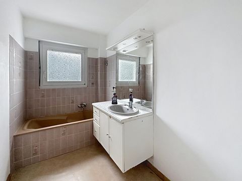 photo no. 12