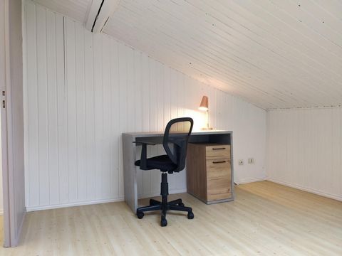 photo no. 11
