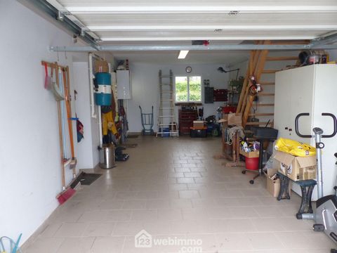 photo no. 17