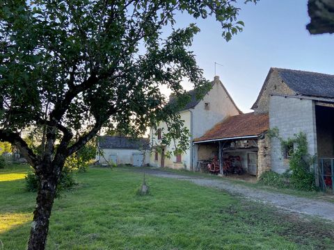 photo no. 18