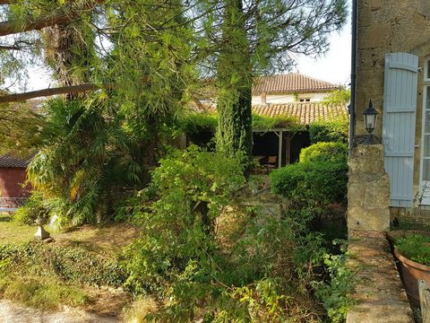 photo no. 10