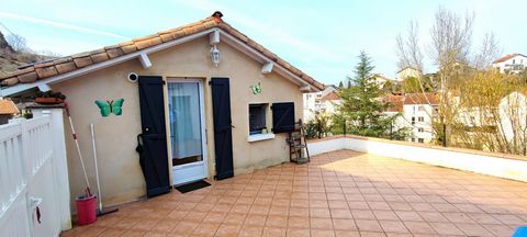 photo no. 12