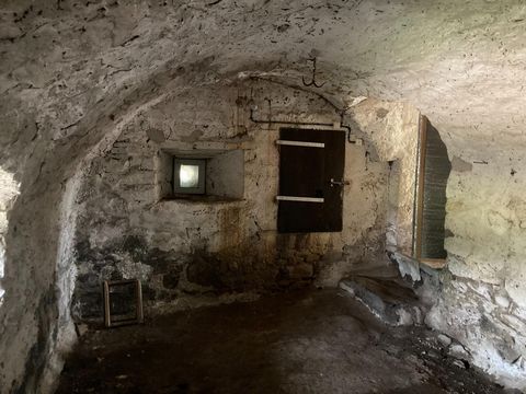 photo no. 8