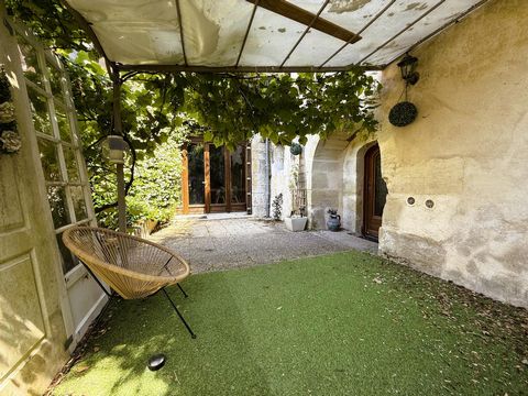 photo no. 8