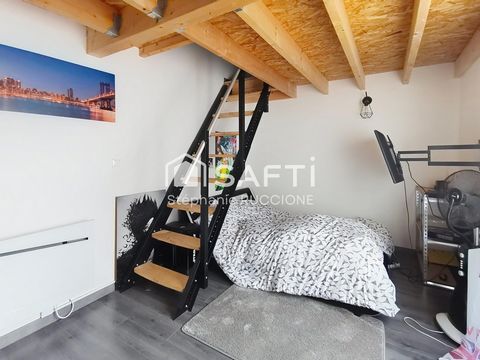 photo no. 8