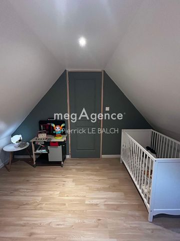 photo no. 11