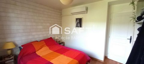 photo no. 11