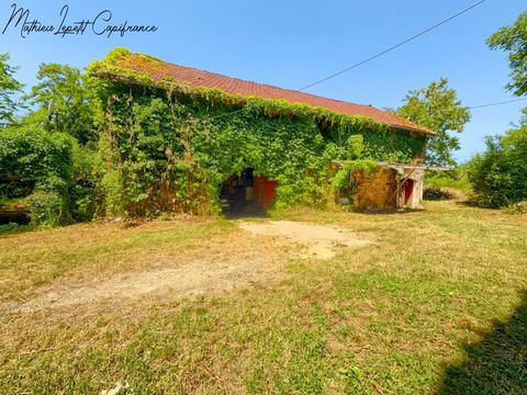 photo no. 2