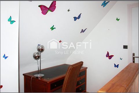 photo no. 5