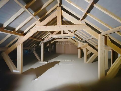 photo no. 10