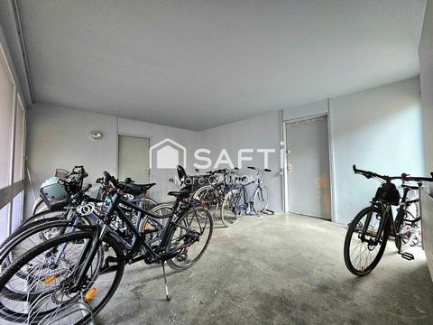 photo no. 12