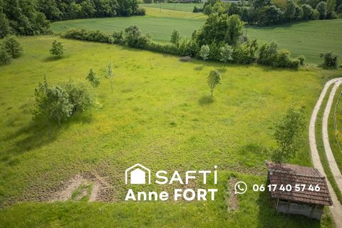 Terrain borné de 7390 m2