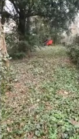 Dpt Vosges (88), à vendre MIRECOURT terrain avec ancienne maisonnette à renover et garage