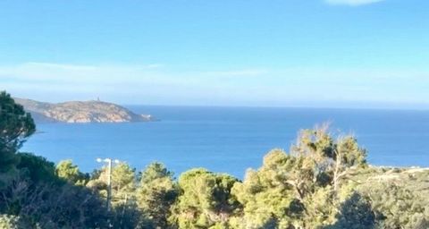 Calvi pleine vue mer, Revellata, jardin ou terrasse grand standing