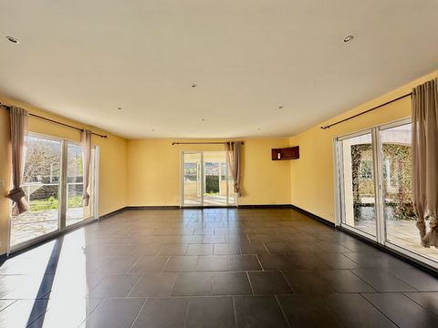 photo no. 12