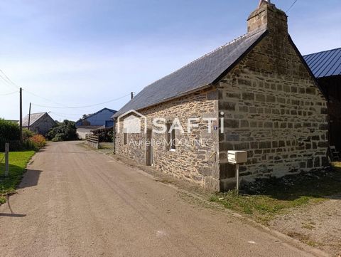 photo no. 6